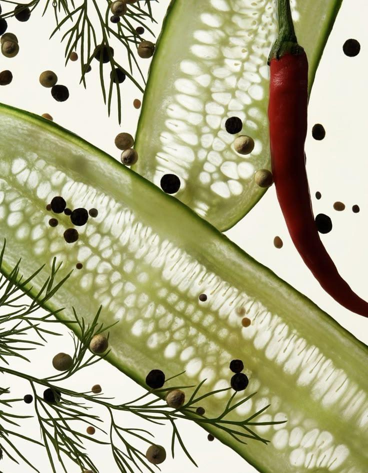 Eco Eden: Freshly Picked Vegetable Ensemble