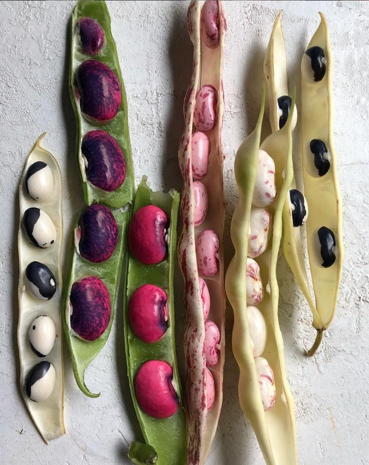 Harvest Symphony: Seasonal Vegetable and Fruit Fusion