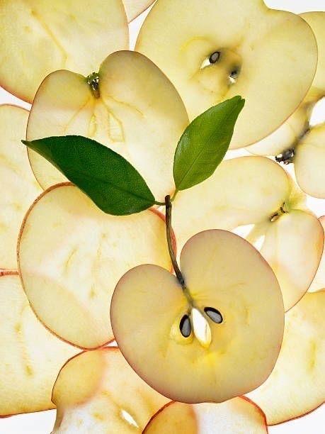 Field's Palette: Artisanal Array of Edible Colors